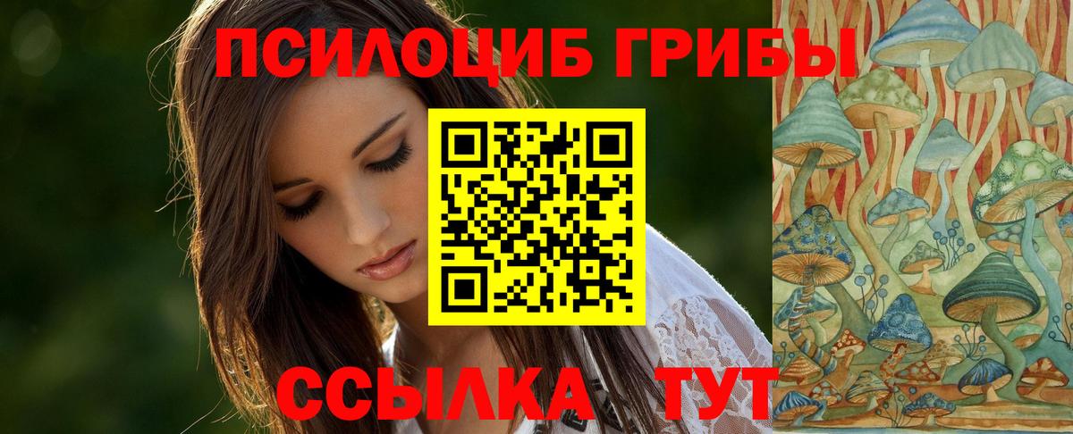 Богородицк  Псилоцибиновые грибы мухоморы  Вход с VPN 