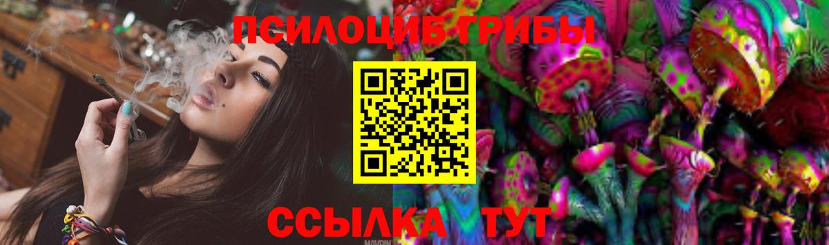 Галлюциногенные грибы Psilocybe Богородицк